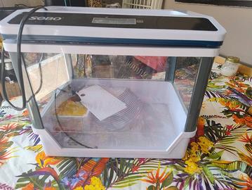 acquario terrario per tartarughe 