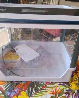 acquario terrario per tartarughe 