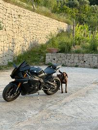 Yamaha R1 2019