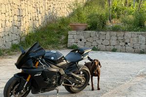 Yamaha R1 2019