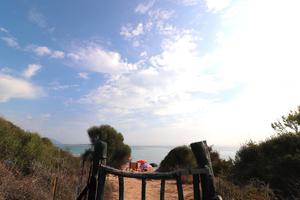 Terreno agricolo Tortolì