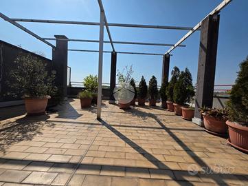 ATTICO A PADERNO DUGNANO