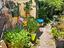 Immagine 24