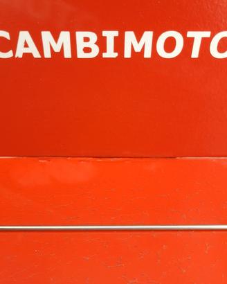 RAGGIO APRILIA ETV 1000 CAPONORD