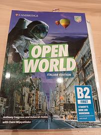open world