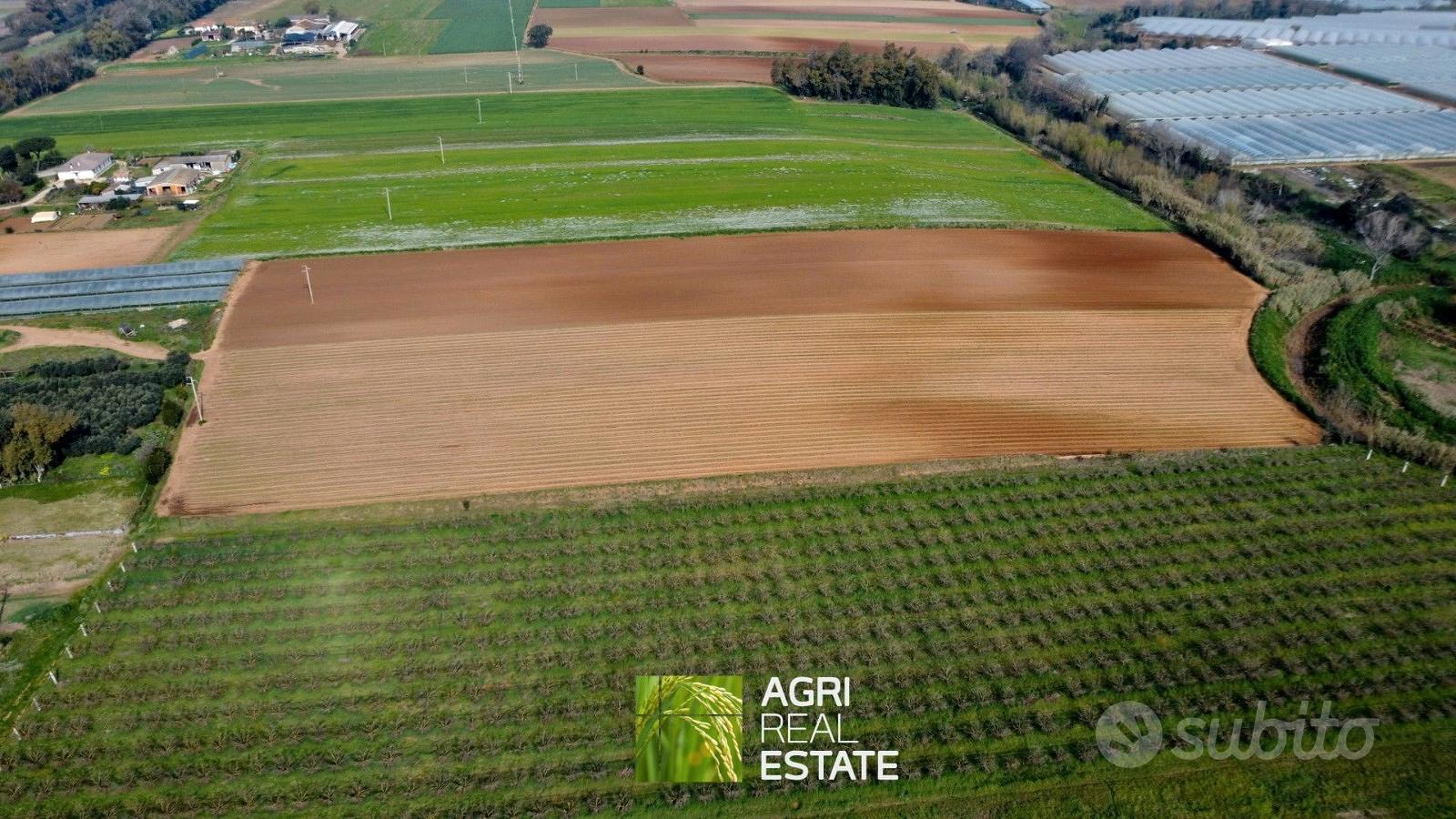 Terreno agricolo di 2,3 HA ideale per serre - Vista 5