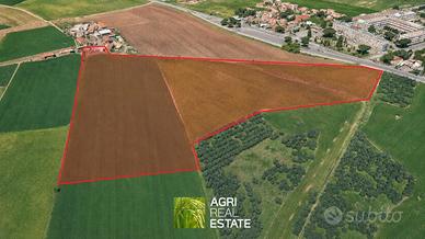 Terreno agricolo di 11,5 HA con abitazione