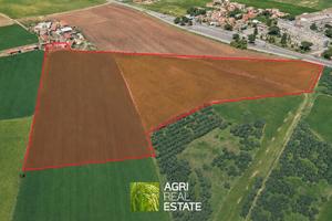 Terreno agricolo di 11,5 HA con abitazione