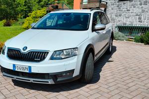 Skoda Octavia Scout 4x4 DSG 184cv