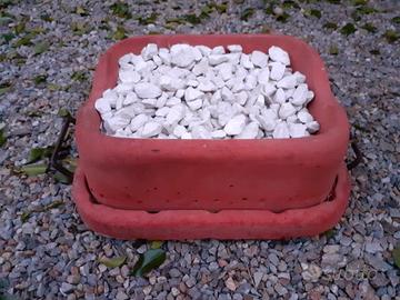 Barbecue Alfa refrattari