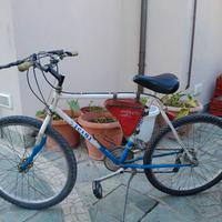 Mountain-bike da uomo