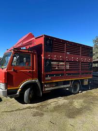 IVECO 79.14 turbo trasporto bestiame