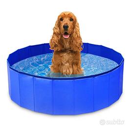 Piscina per cani