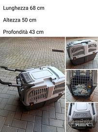 Trasportino