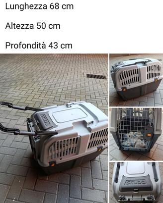 Trasportino