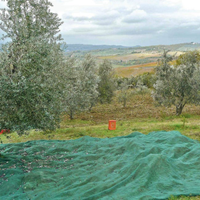 Tutto per la raccolta delle olive