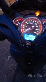 sh 300 tagliando fatto da poco