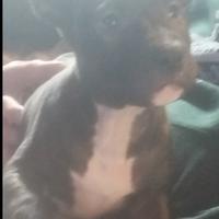 Disponibili da subito