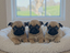 Immagine 5