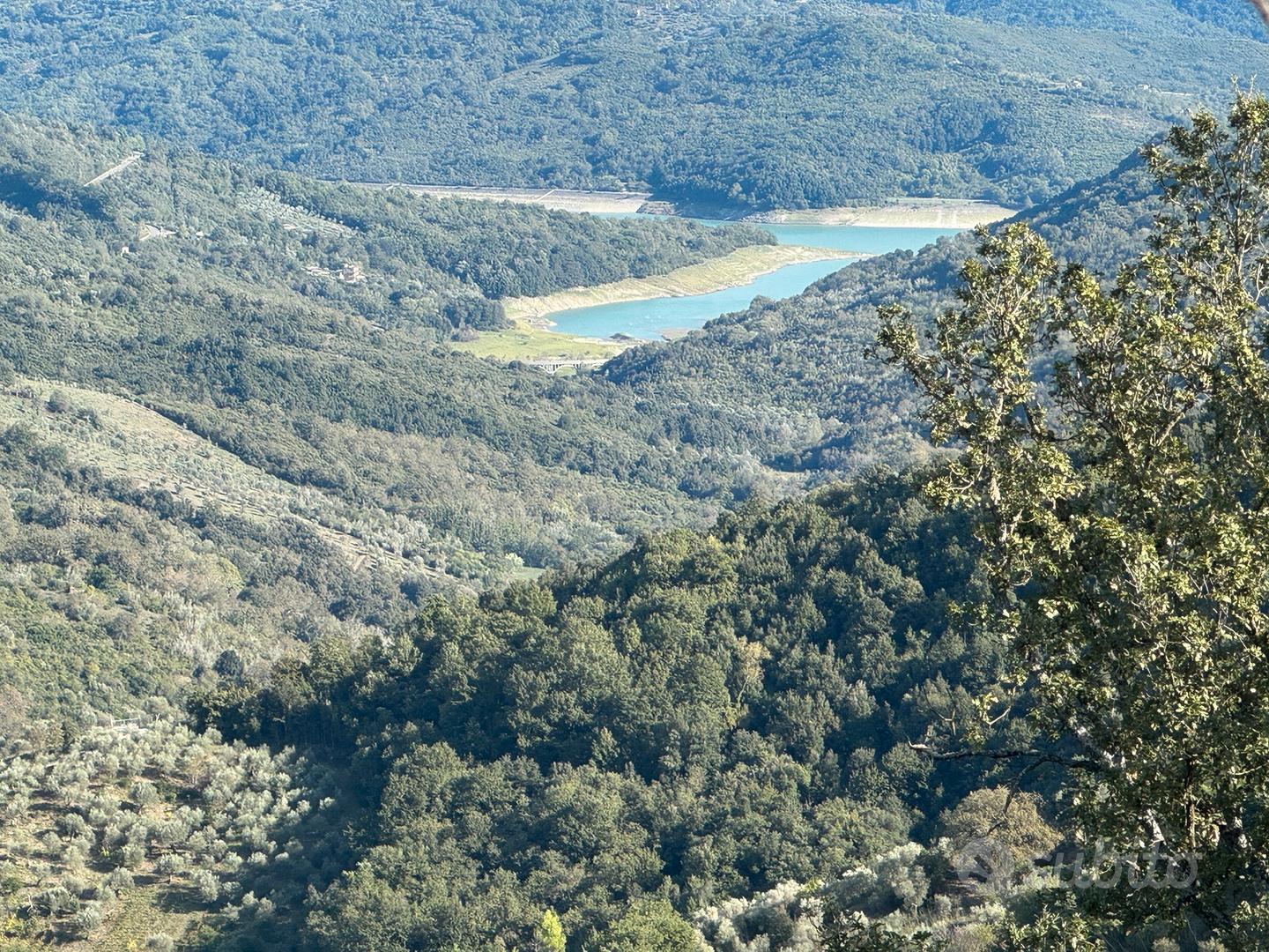 Terreno agricolo e fabbricato - Vista 4