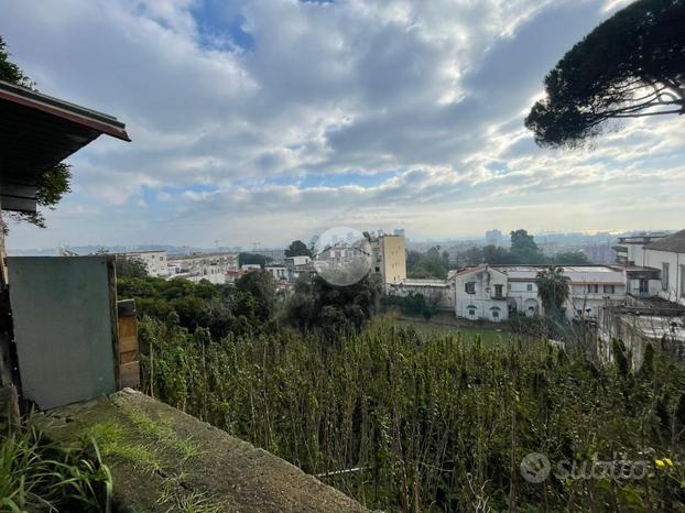 MONOLOCALE A NAPOLI