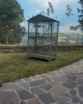 Voliera per pappagalli
