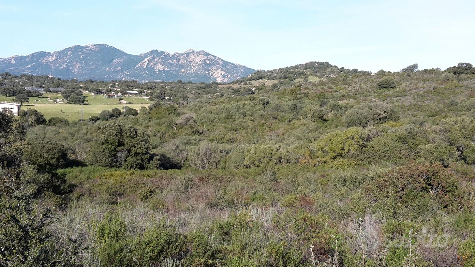 Terreno agricolo - Vista 5