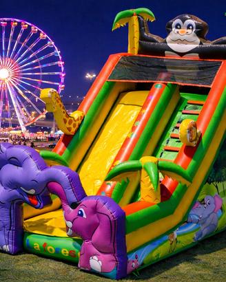 Scivolo Gonfiabile per Bambini per Luna Park