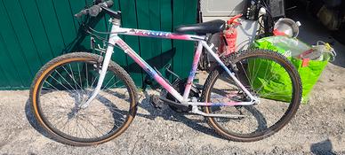 Bicicletta Mountain bike 24