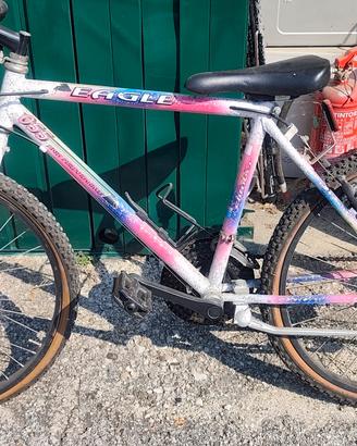 Bicicletta Mountain bike 24