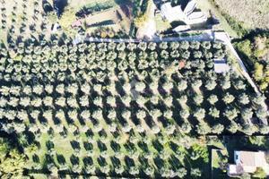 TER. AGRICOLO A FIANO ROMANO