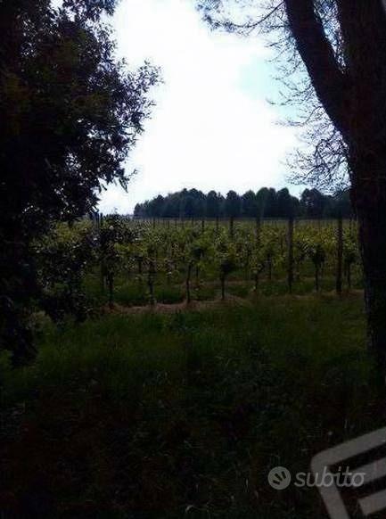 Immobile in asta di 50060 m² a Caneva - Vista 3