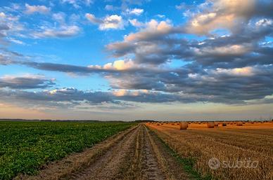 Terreno agricolo