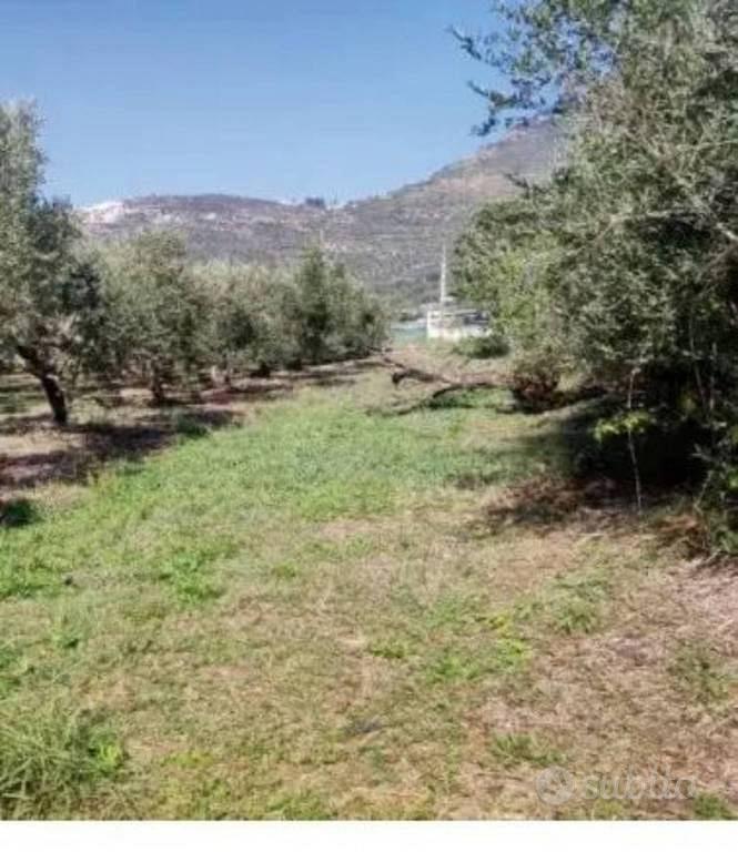 Immobile in asta di 4386 m² a Maenza - Altro