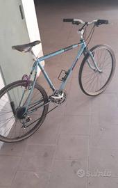 Bicicletta 26 uomo MONTEMURLO