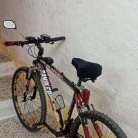 Mountain bike usata 