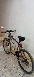 Mountain bike usata 
