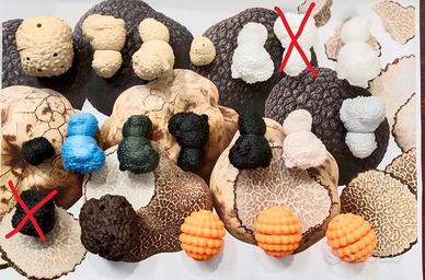 Dummies/Tartufi Finti con Design Realistico