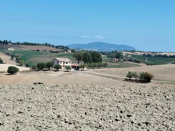 Splendido casale marchigiano colline Recanati