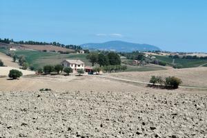Splendido casale marchigiano colline Recanati