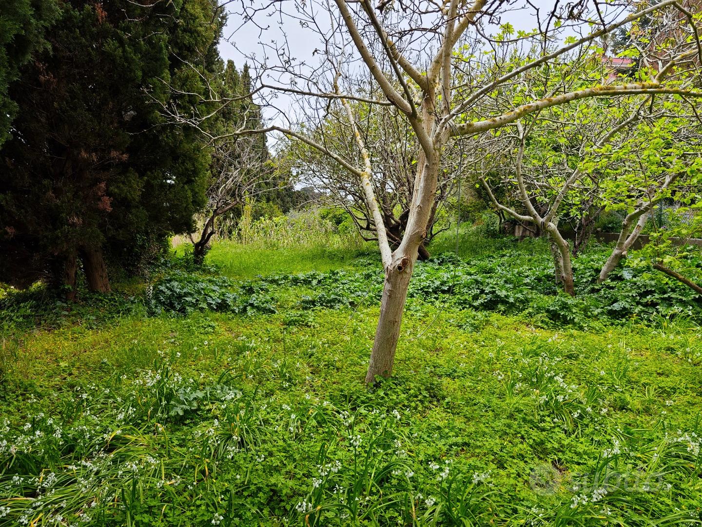 Terreno Edificabile a CASTANEA - Vista 2