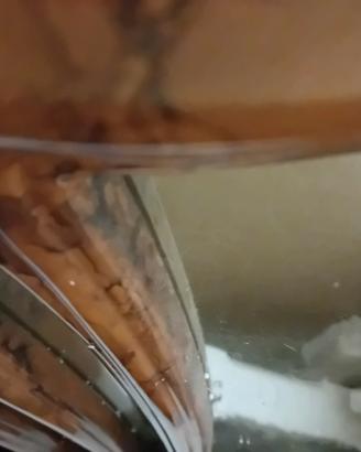 specchiera specchio