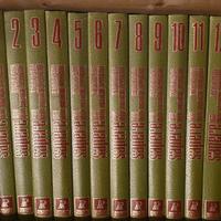 Enciclopedia "Sapere Oggi"