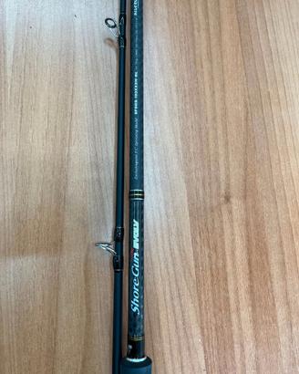 Combo Shore Jigging Palms + Daiwa BG SW 8000 H – C