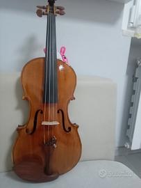 violino 