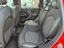 Immagine 7