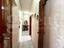 Immagine 27