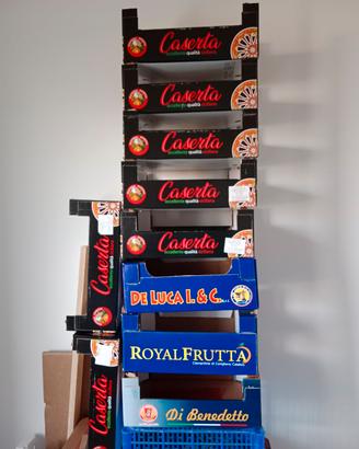 cassette cartone per ortofrutta o altro