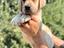 Immagine 27
