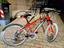 Immagine 2
